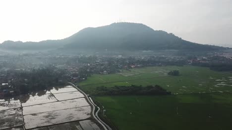 Rice-field-in-front-of-Bukit-Mertajam-hill-at-Bukit-Mertajam,-Penang.
